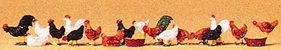 14168 CHICKENS-HO