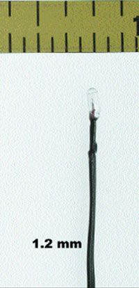 18-001-10 BULBS 1.5V CLEAR