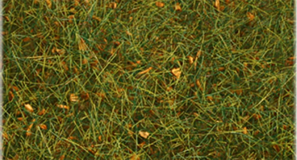 31003 6MM ALPINE GREEN GRASS