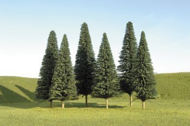 32001 5"-6" PINE TREES