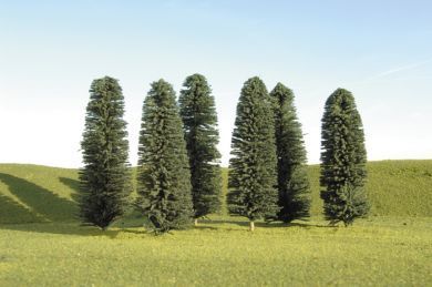 32005 5"-6" CEDAR TREES