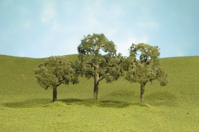 32007 WALNUT TREES