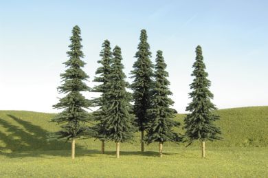 32158 4"-6" SPRUCE TREES (24PK)