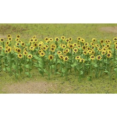 95523 SUNFLOWERS 16PK-HO