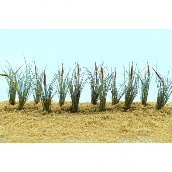 95535 CATTAILS 24/PACK-HO