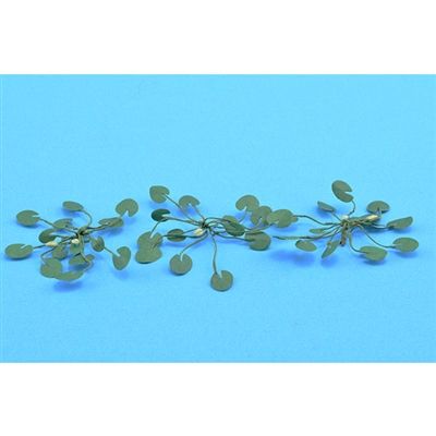 95538 LILY PADS-O