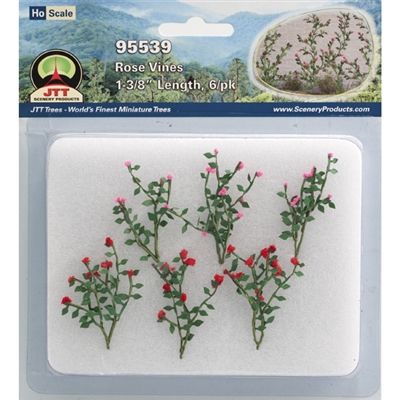 95539 ROSE BUSHES-HO