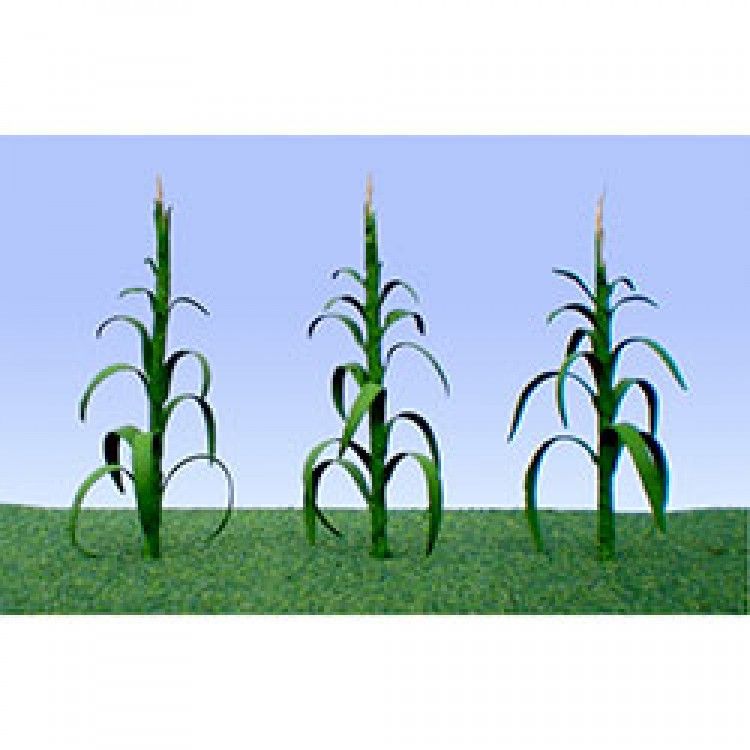 95552 CORN STALKS 30/PK.-HO