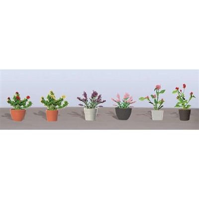 95565 ASSORTED POTTED PLANTS 1-HO