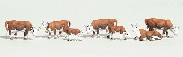 A1843 HEREFORD COWS-HO