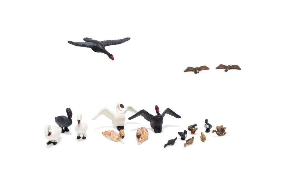 A1969 DUCKS & SWANS-HO