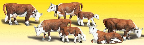 A2144 HEREFORD COWS-N