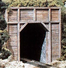 C1254 TIMBER TUNNEL PORTAL-HO