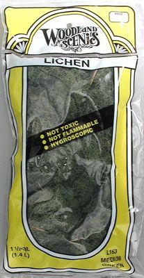 L163 MEDIUM GREEN LICHEN