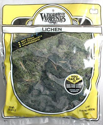 L168 DARK GREEN LICHEN