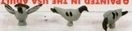 1212 (3) PIGEON BIRDS-O