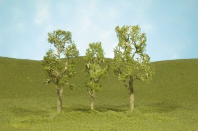 32010 3"-4" ASPEN TREES