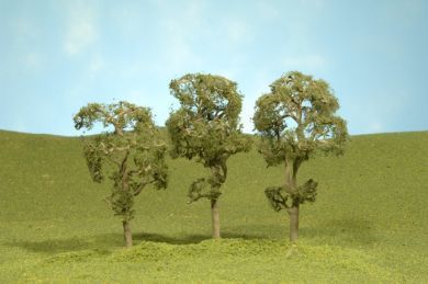 32011 MAPLE TREES