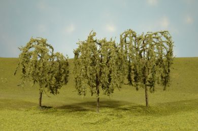 32014 WILLOW TREES