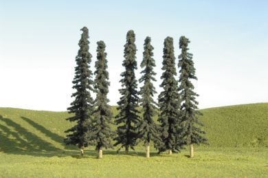 32103 CONIFER TREES 3"-4"