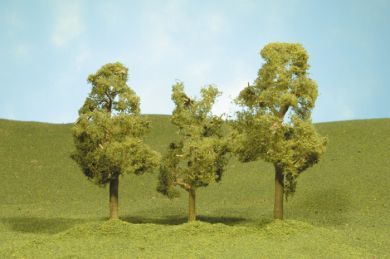 32209 SYCAMORE TREES