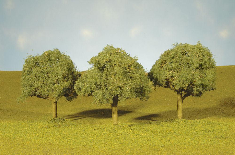 32213 OAK TREES