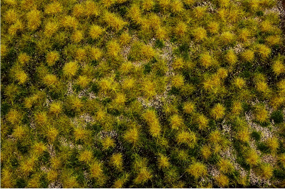 32925 DRY GRASS MAT