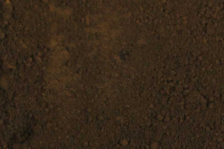 493-3120 DELTA DIRT POWDER