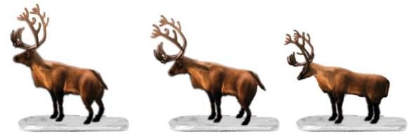 6-24251 CARIBOU ANIMAL PACK-O