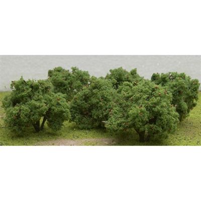 92122 2"-2-1/4" APPLE TREES 6PK