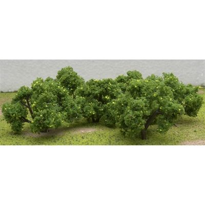 92123 2"- 2-1/4" LEMON TREES