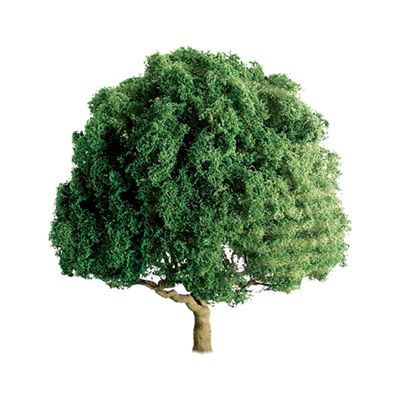 94261 1-1/2" OAK TREES 4PK.