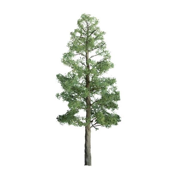 94291 2" PINE TREES