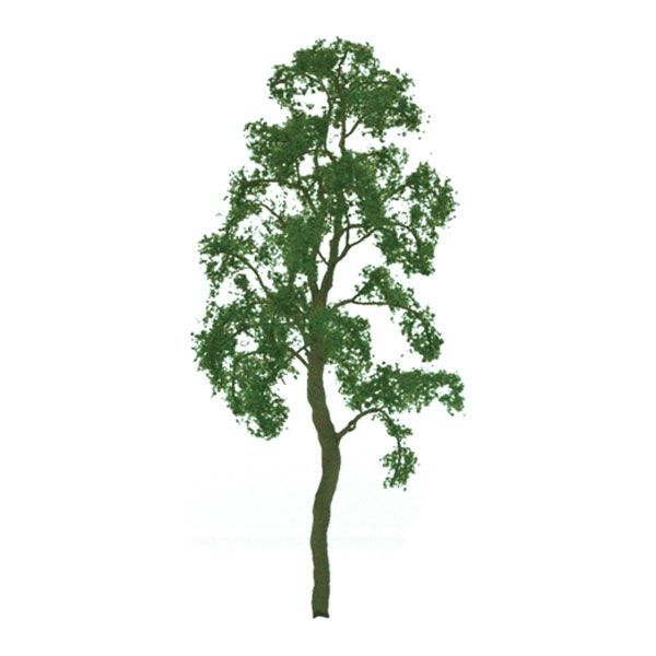 94418 3" BIRCH TREES