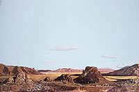 949-705 DRY DESERT