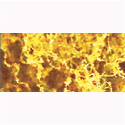 95060 COARSE EARLY FALL FOLIAGE