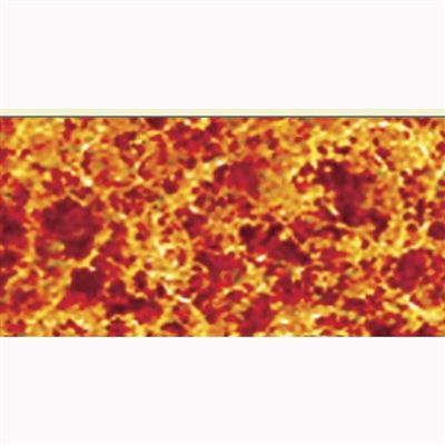 95061 COARSE LATE FALL FOLIAGE