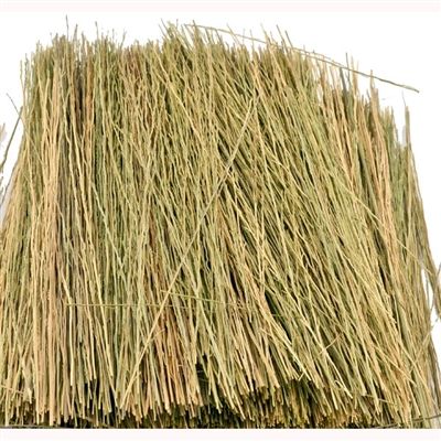 95084 NATURAL BROWN FIELD GRASS