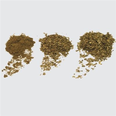 95089 FALLEN LEAVES
