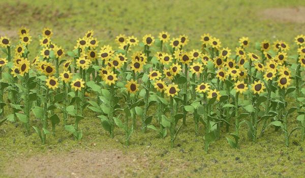 95524 SUNFLOWERS-O