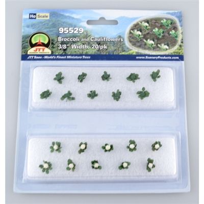 95529 BROCCOLI & CAULIFLOWERS-HO