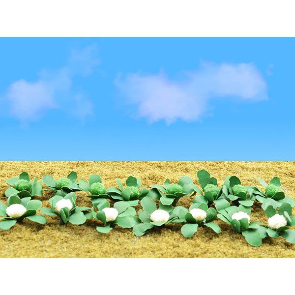 95530 BROCCOLI & CAULIFLOWERS-O
