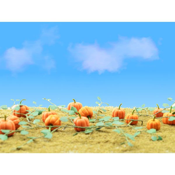 95532 PUMPKIN PATCH-O