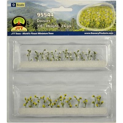 95544 DAISIES 24PK-O