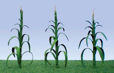 95553 CORN STALKS-O