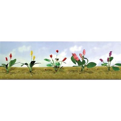 95562 ASSORTED FLOWER PLANTS 3-O