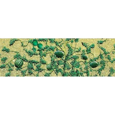 95575 WATERMELON PATCH-HO