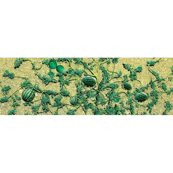 95576 WATERMELON PATCH-O