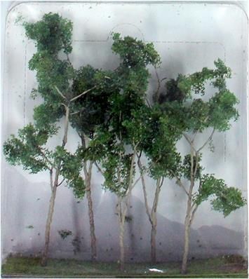 95618 WOODS EDGE TREES-O