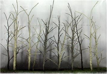 95629 WOOD EDGE BARE TREES